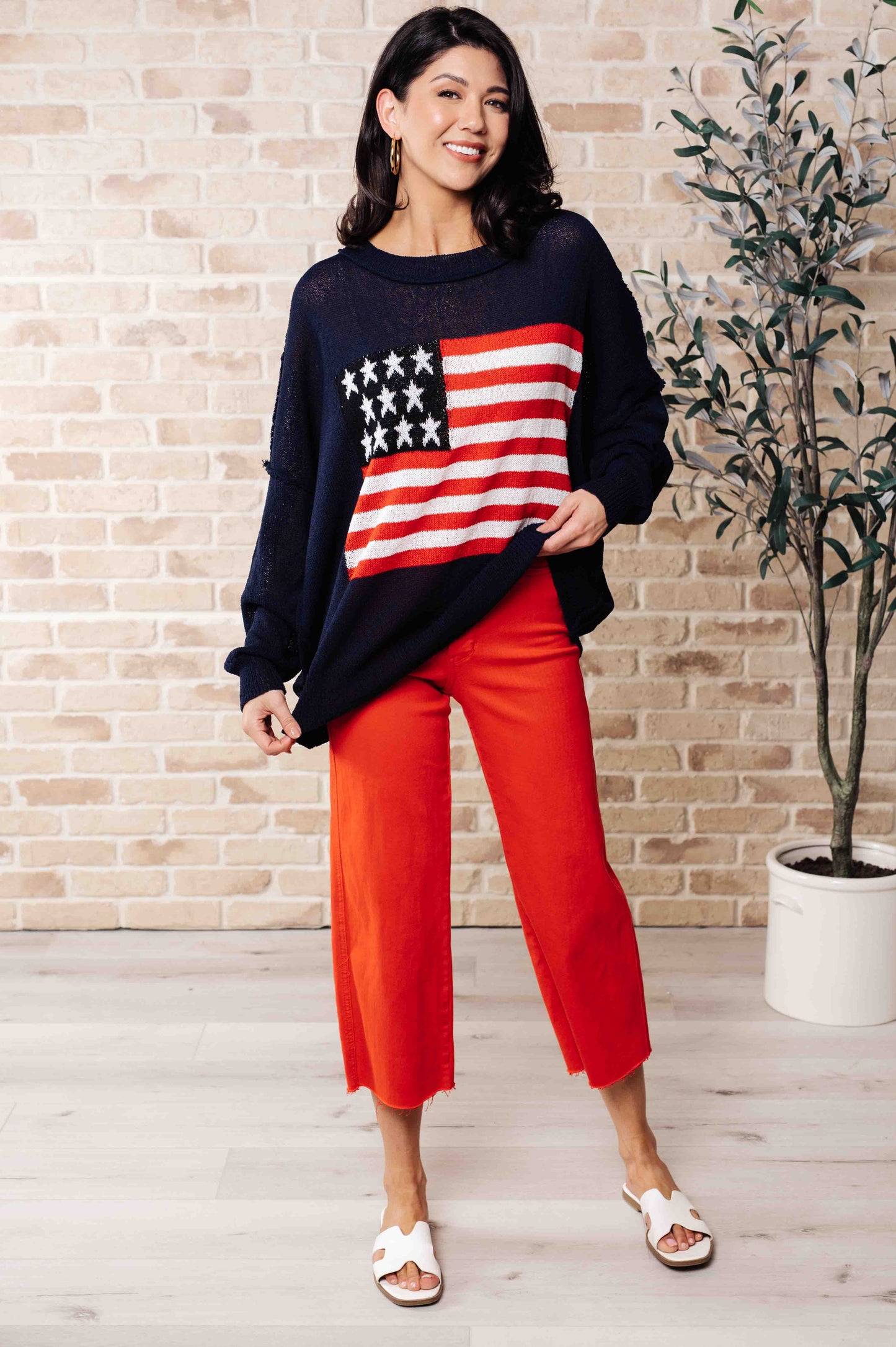 Oh Say Can You See Lightweight Pullover