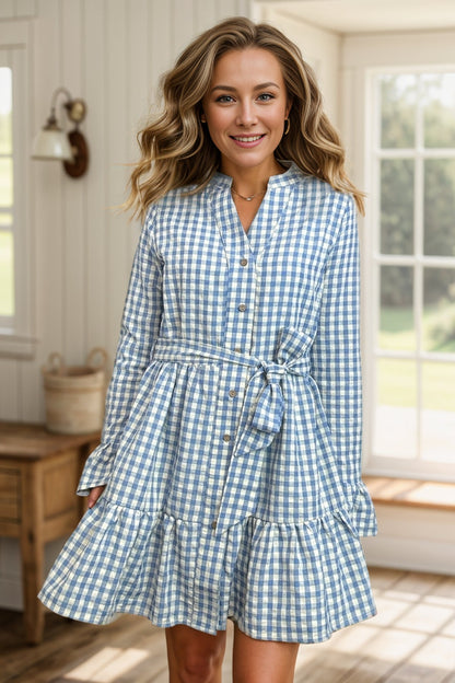 Gingham Button Down Dress - Sky