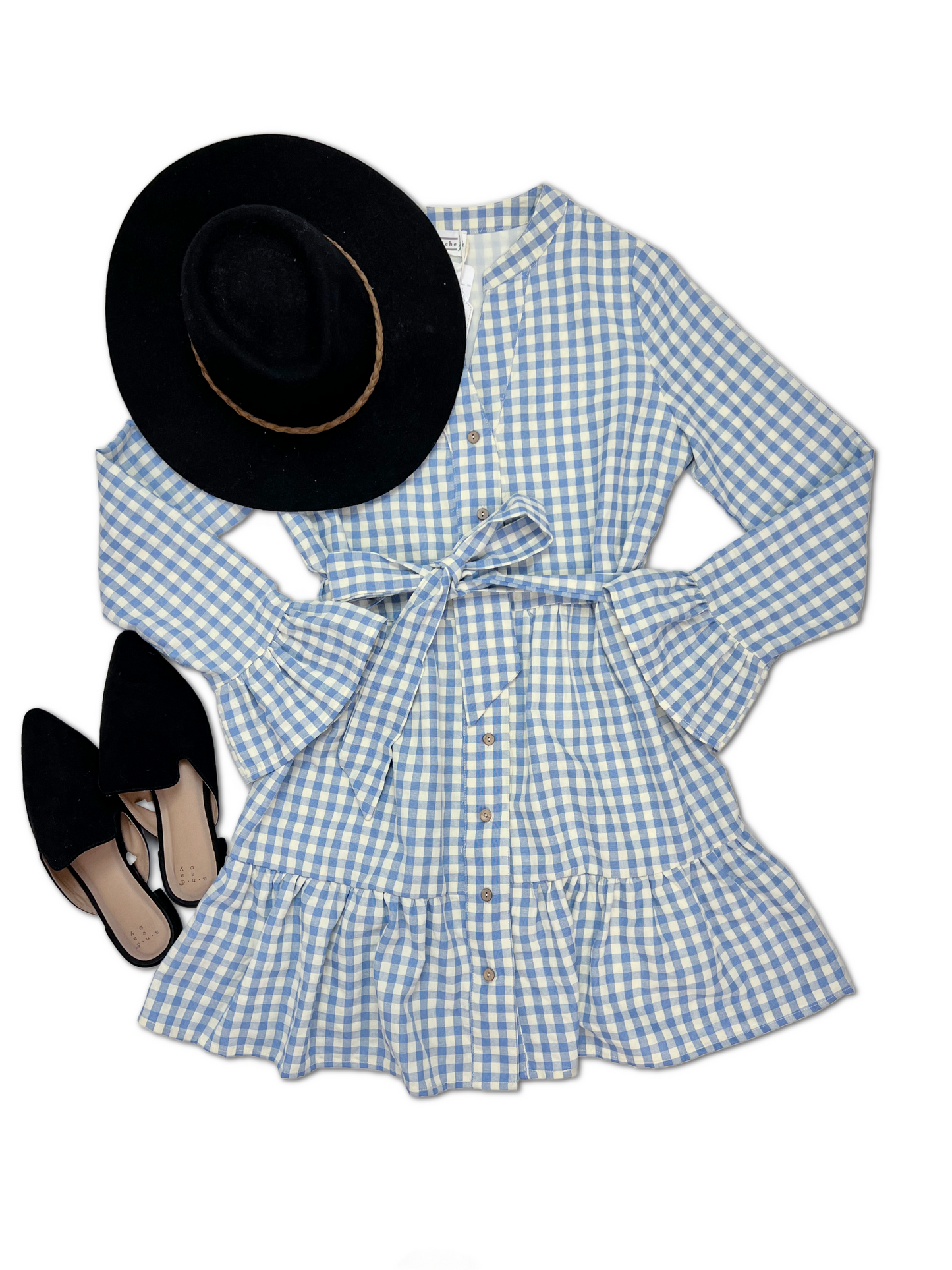 Gingham Button Down Dress - Sky