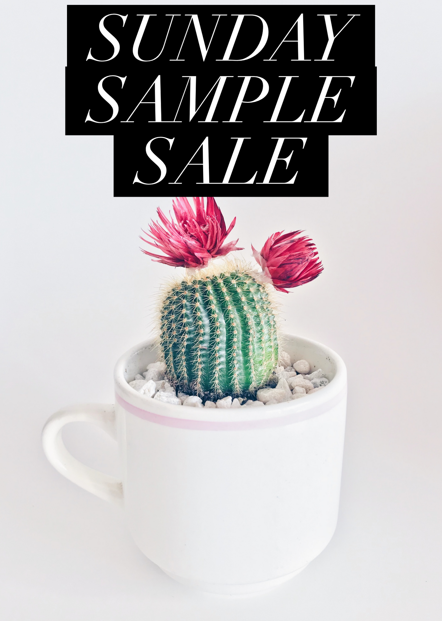 $10 Winter Sample Clear Out - All Sales Final 101-200