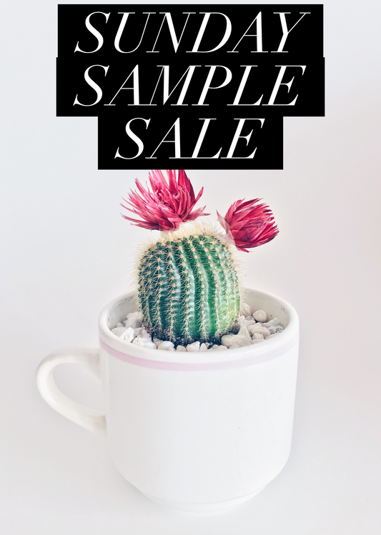 $10 Winter Sample Clear Out - All Sales Final 101-200